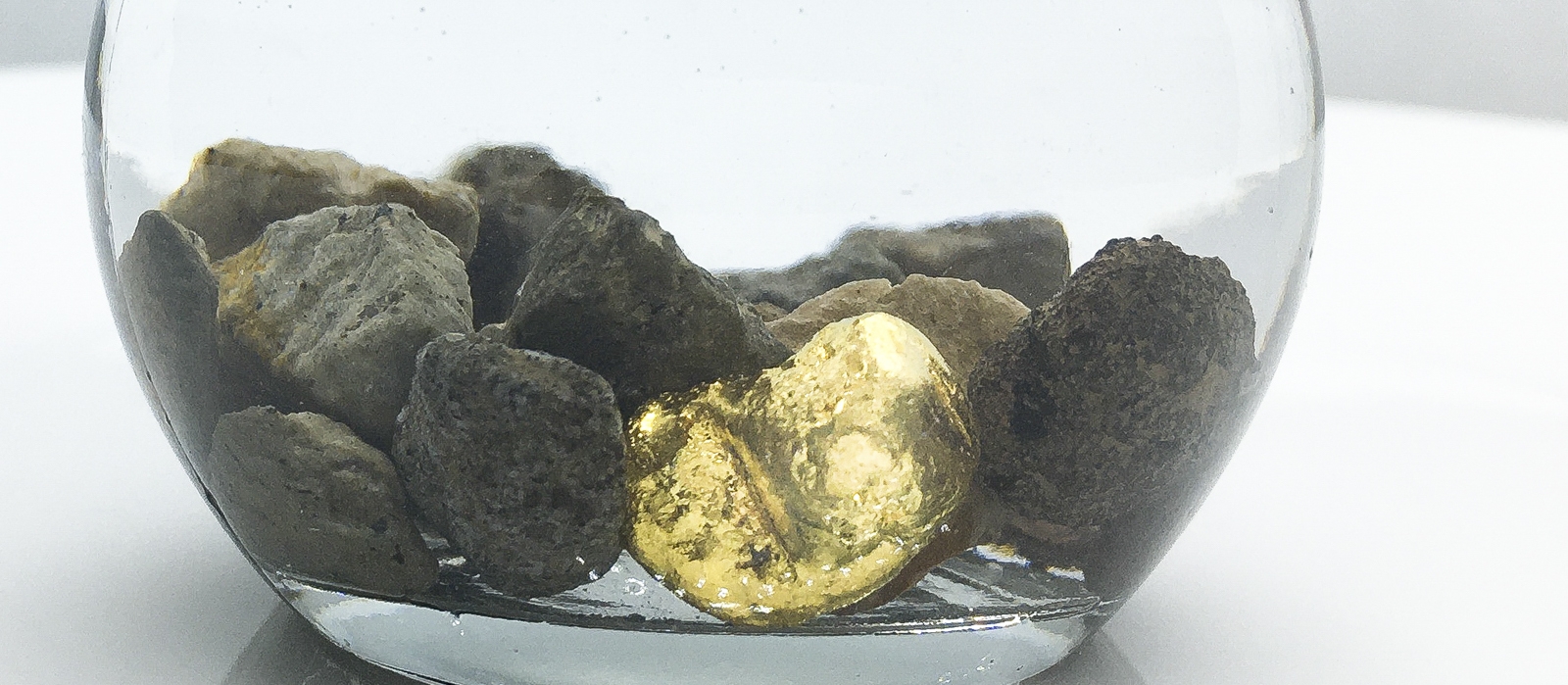 The gold nugget