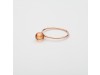 Anello donna con sfera colorata di Zircone, Anello Babol piccolo champagne  | Nicolini Gioielli Shop