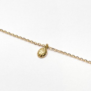 Coccinella charm