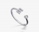 E ring