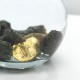 The gold nugget